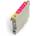 Epson T0613