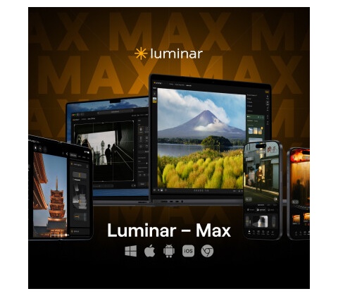 Luminar MAX, Trvalá licence
