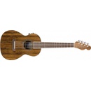 Fender Rincon