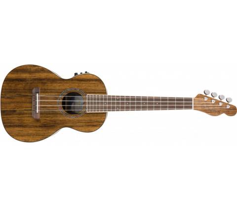 Fender Rincon