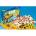 Piatnik Set of 100 games
