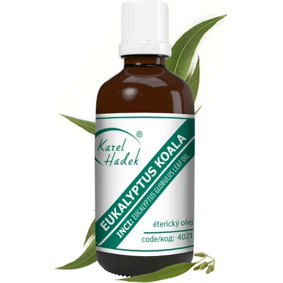 AKH Esenciální olej EUKALYPTUS KOALA 50 ml
