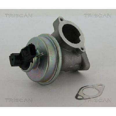 AGR-Ventil TRISCAN 8813 16012 (881316012)