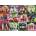 Ravensburger - Puzzle Puppy Pals - 500 piese