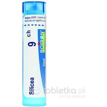 Silicea gra.1 x 4 g 9CH