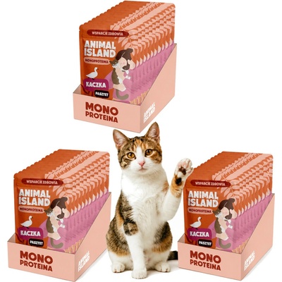 ANIMAL ISLAND Mono Kachna 30 x 100 g