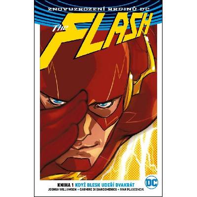 Flash 1: Když blesk udeří dvakrát brož.