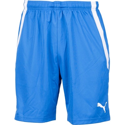 PUMA Team liga shorts xxl