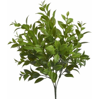 Umělý ruscus - zelená 36 cm