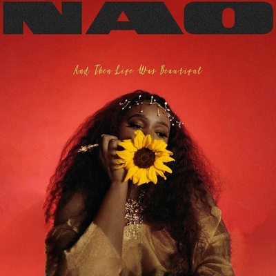NAO - And Then Life Was Beautiful LP