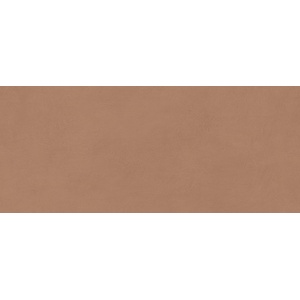 Atlas Concorde Solution Стенна плоча Atlas Concorde Boost Expression Sienna 50x120 (AYR9)