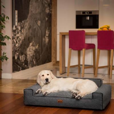 HobbyDog Pelech Glamour - Tmavě šedý Inari VELIKOST: Pro středního psa (vel. XL) - 97 x 66 cm