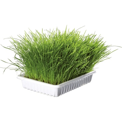 Trixie tráva pre mačky jemná 100 g