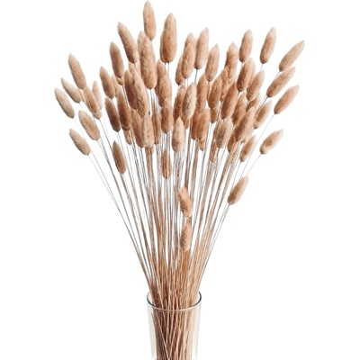 Sušený lagurus (králičí ocásek) přírodní 90g-95g