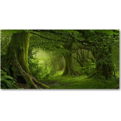 Fotoobraz na skle tropická džungľa 100x50 cm