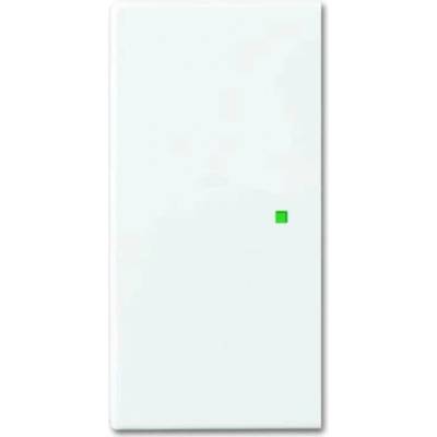 Busch-Jaeger 2CKA006220A0360