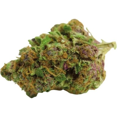 Growers Choice Red Banana Berry semena neobsahují THC 5 ks