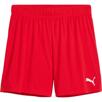 Puma teamGOAL Handball Shorts W 706019-01