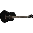 Cort Jade-1