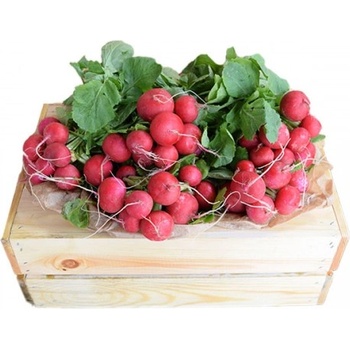 Репички - България 1бр