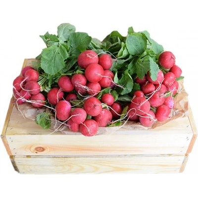 Репички - България 1бр