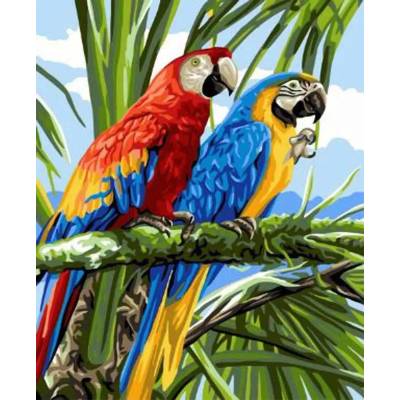 Norimpex - Puzzle Diamant painting: Parrots in the branches 30x40cm - 1 - 39 piese