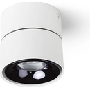 Rendl R14425