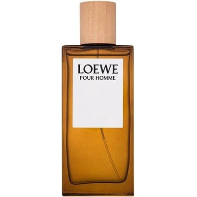 Loewe Pour Homme toaletní voda pánská 100 ml