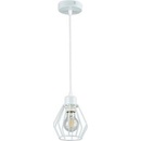LVT PL2494