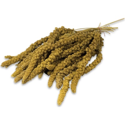 JR FARM Čínské proso žluté 0,5 kg