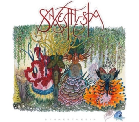SYNAESTHESIA: SYNAESTHESIA CD