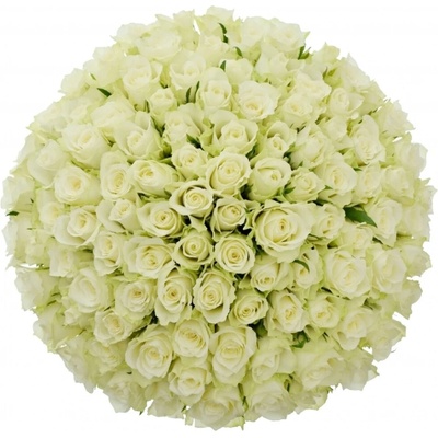 Kytice 100 bílých růží ATHENA 50cm – Zboží Dáma