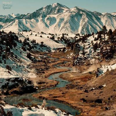 Will Sheff - Nothing Special (Limited Edition) (Eco Mix Coloured) (LP) (0880882469818)