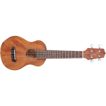 Takamine GUS1