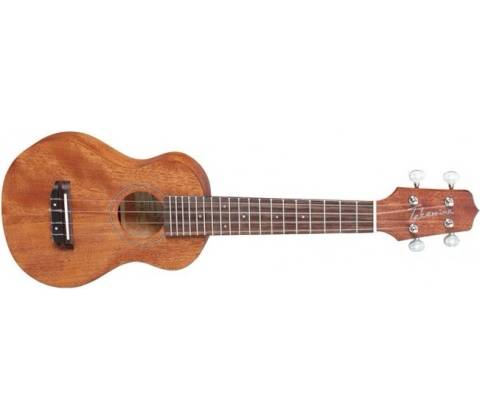Takamine GUS1
