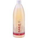 Master profesional šampon pro barvené vlasy 970 ml