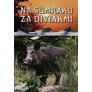 Na súmraku za diviakmi