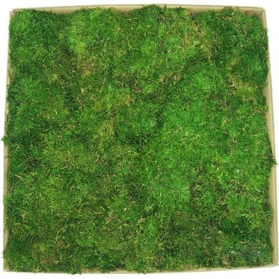 Stabilizovaný plochý mach 0,5m²
