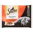 SHEBA SELECTION Šťavnatý výber v šťave 4 x 85 g