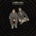 Sleaford Mods - The Demise Of Planet X (Green Coloured) (LP) (0191402057409)