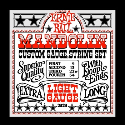 Ernie Ball 2323