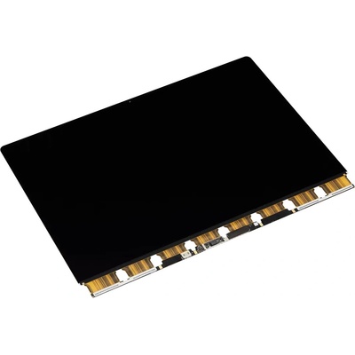 LCD panel MacBook Pro 16" (A2485 / A2780 / A2991 / A3403 / A3186) - iba panel MAC0782