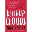 Ketchup Clouds - Annabel Pitcher
