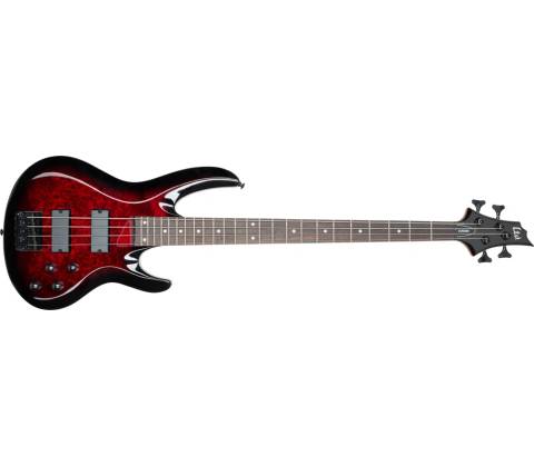 ESP LTD B-204DX
