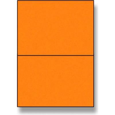 Rayfilm R01331122A 210 x 148 mm 200 etiket oranžová fluo