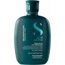 Šampony Alfaparf Semi di Lino Hair Shampoo na poškozené 250 ml