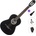 Pasadena PC-100 Standard SET 4/4 Black Класическа китара