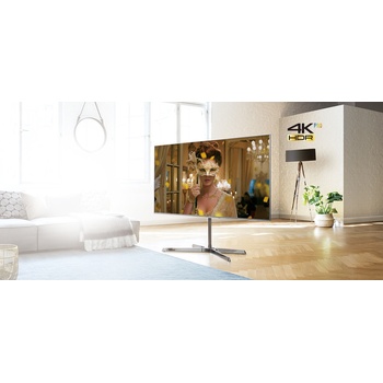 Panasonic TX-50EX780E