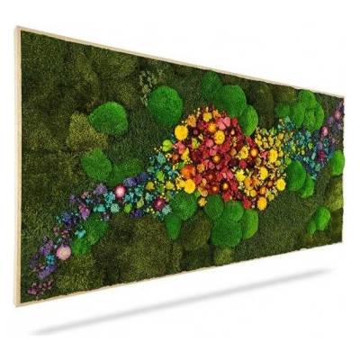 Machový obraz RASTLINY Acebo, 180x60cm, drevený biely rám