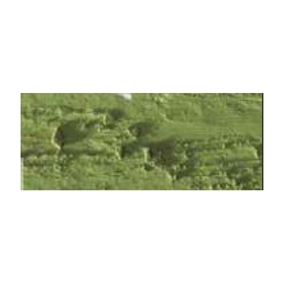 Caran d´Ache Neopastel olejový pastel 016 khaki green